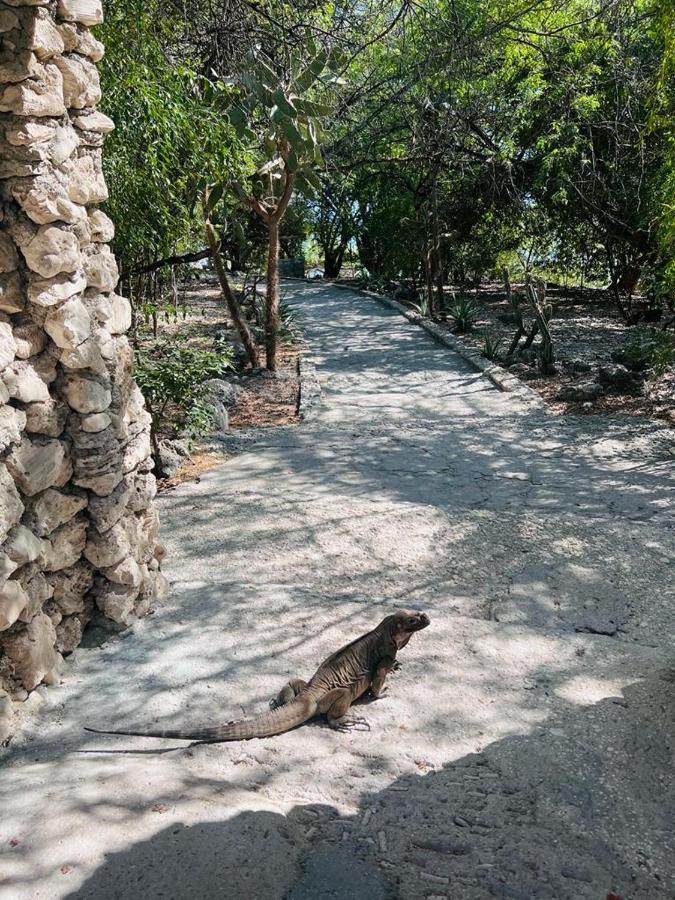 Lago Enriquillo Resort Cerro Al Medio Exteriér fotografie