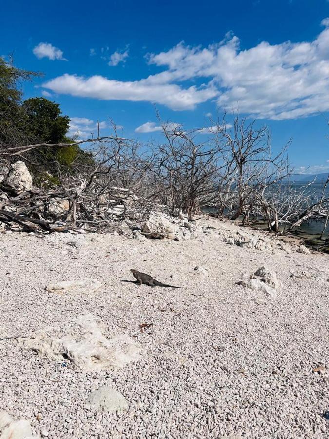 Lago Enriquillo Resort Cerro Al Medio Exteriér fotografie